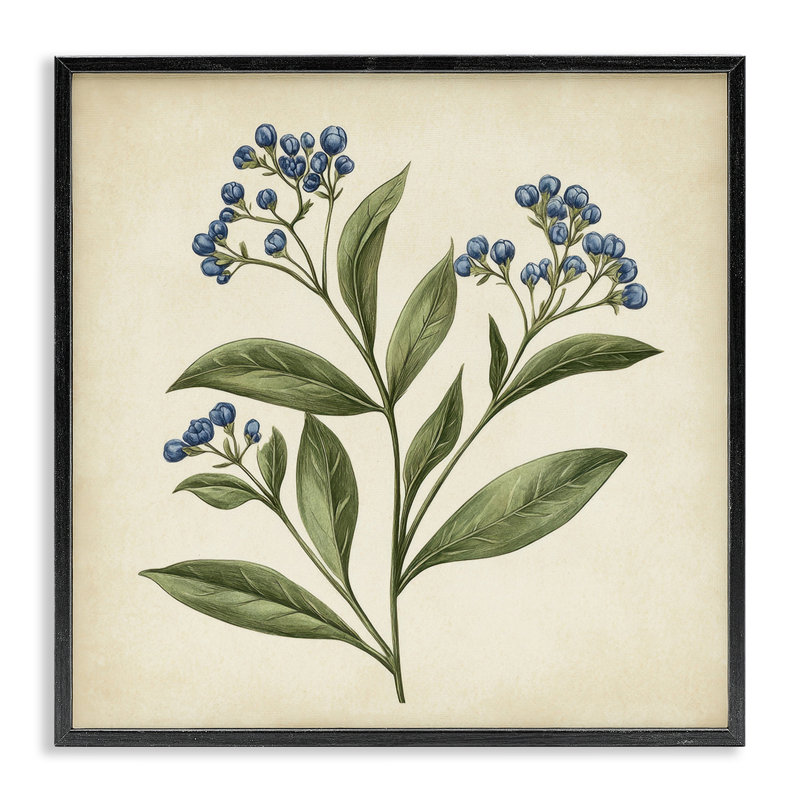 Illustration botanique de bourgeons, estampe numérique, design par Petal Prints Design, H 17 po x l 17 po