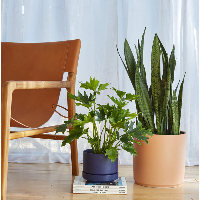 Pot à fleurs en céramique Byer, H 6 po x l 7 po x P 7 po, Bleu