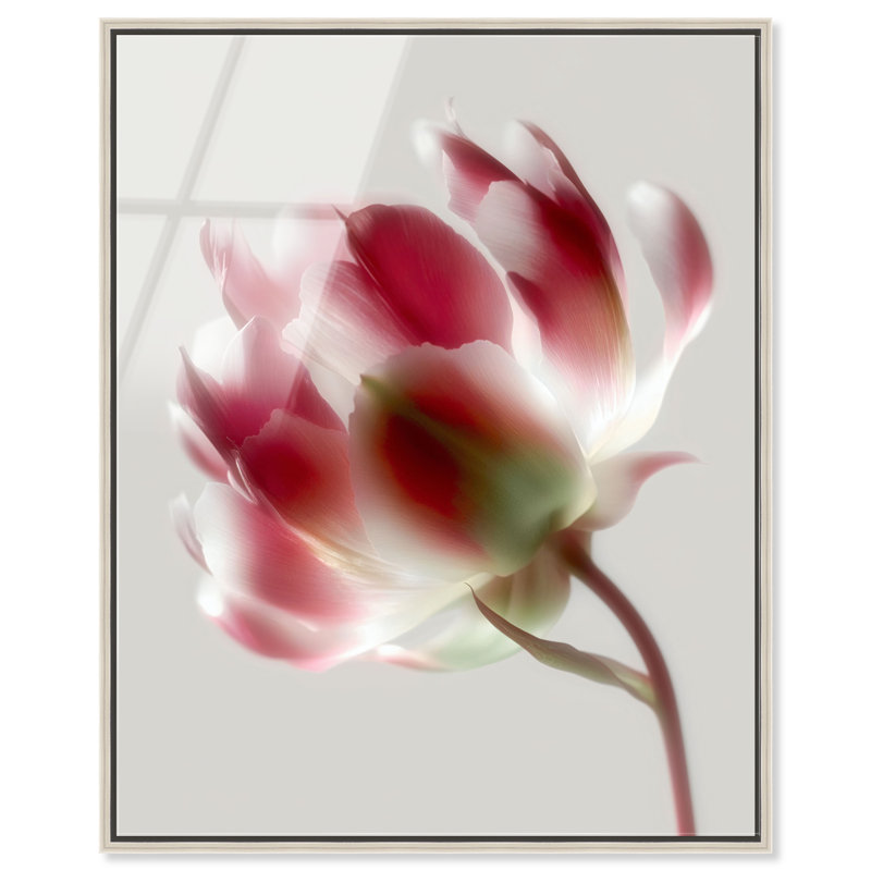 Crimson Core I Print, 46"H x 37"W, Silver Floater Frame