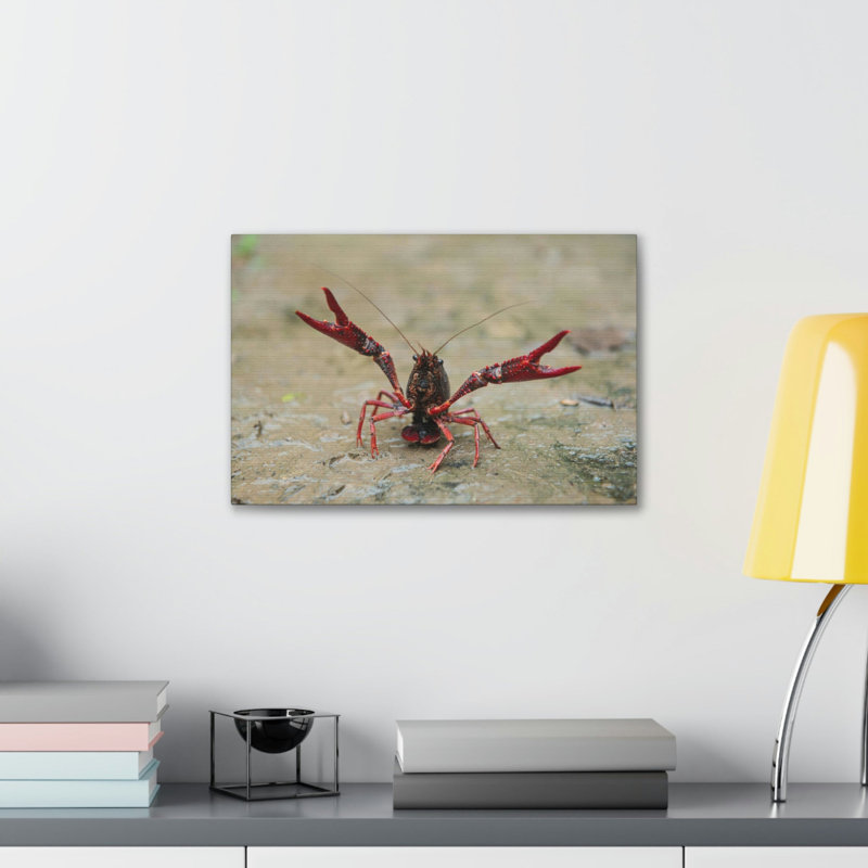 Chasse à l'écrevisse, art mural, reproduction, H 18 po x l 24 po