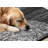 Manzelli Modern Circles Black White 5 x 7 Area Rug-1830256857