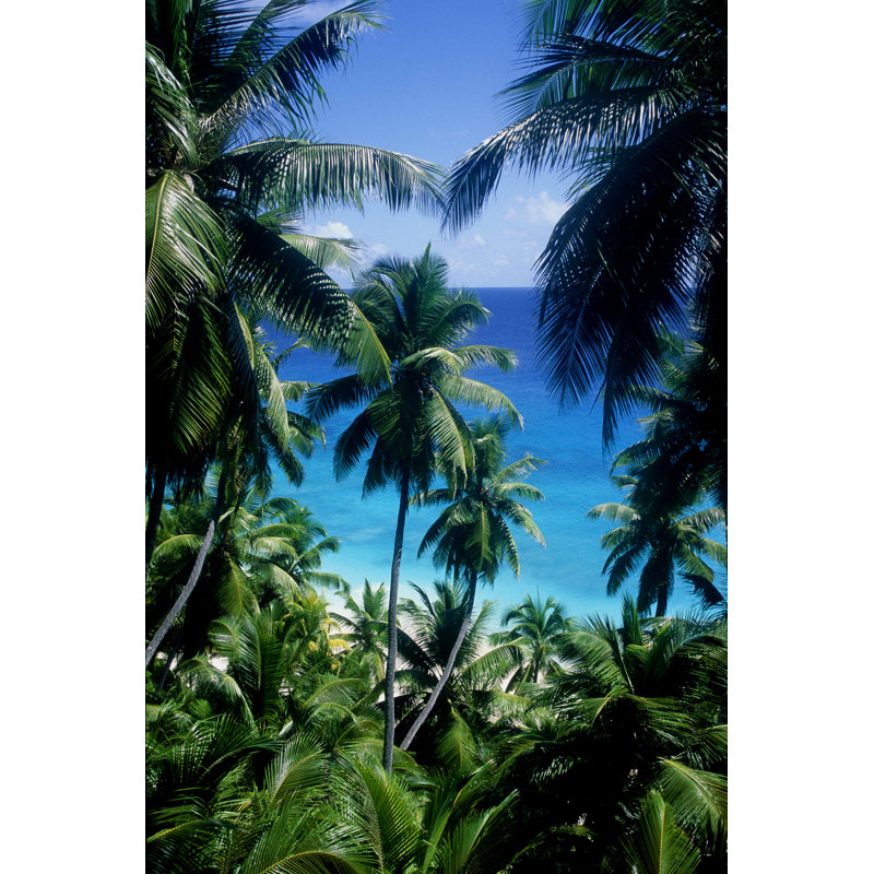 Palms & Sea - Wrapped Canvas Print, 122cm H x 81cm W x 3.8cm D