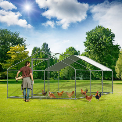 Chiriac Chicken Run