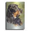 «Gordon Setter» par Barbara Keith-887910890