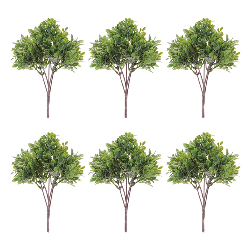 Boxwood Foliage Bush
