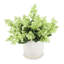 Lilacs Arranged in a Ceramic Pot