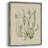 Linen Grasses II Framed Print - Solid Wood 48356-563461199
