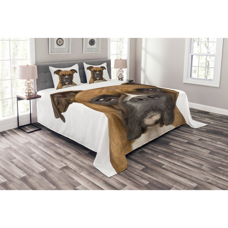 Wonderlin 264 TC Duvet Cover Set