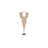 Giant Shell Necklace