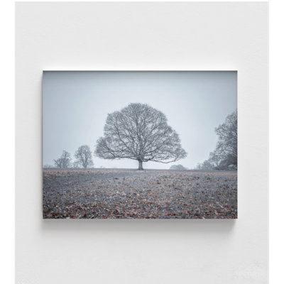 Reproduction de photo encadrée arbre, décor mural paysage de ton froid, impression d'art mural botanique, plantes, décoration murale, art mural encadré, art mural surdimensionné