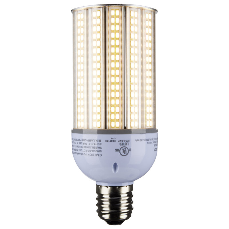 30 Watt Clear LED Bulb, 3000K