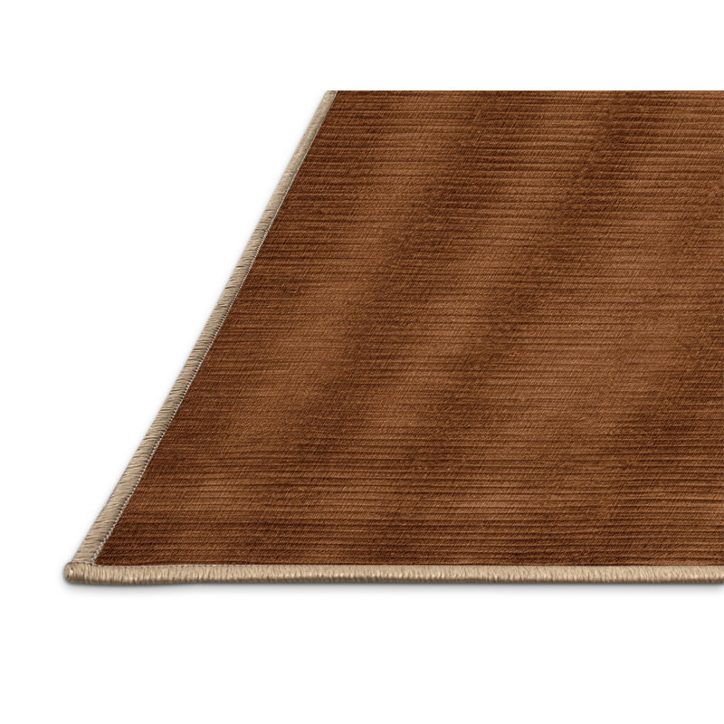 Machine Washable Solid Brown Area Rug, Rectangle 2' x 3'