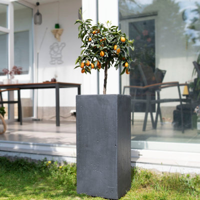 Arnasia Pot Planter