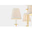 Amina 9 Light Chandelier