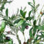 Artificial Grand Olive Tree in White Decorative Planter-2045042790