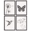 "Ensemble de vol d'oiseaux et de colibris"-101519804-101519805