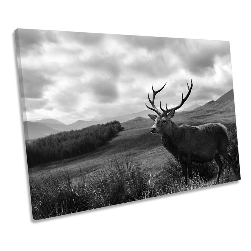 Stag Deer Scotland Highlands Wildlife B&W - Wrapped Canvas Print, 50.8cm H x 76.2cm W