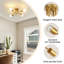 Gold Vintage Industrial Sputnik 4-Light Flush Ceiling Light