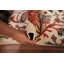 Animals Design Ziegler Handmade Accent Rug 2x3