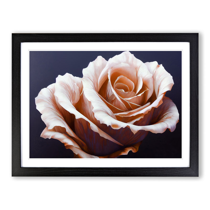 Elegant Rose Flower - Single Picture Frame Print, Black , 46cm H x 64cm W x 2cm D