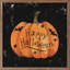 Happy Halloween - chauve-souris - citrouille - noir-1287036969
