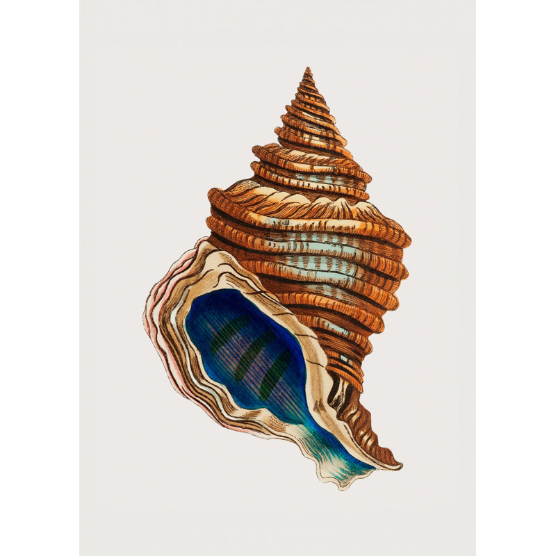 Wrapped Canvas Print, 76.2 cm H x 50.8 cm W