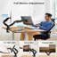 Dunaverney Inbox Zero Electronic Mount