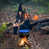 Blue est en rupture de stock