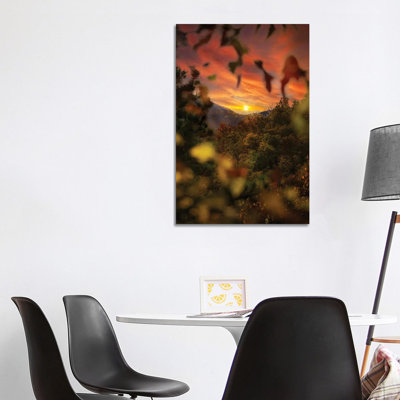 Sunset Through The Trees by Jonathan Ross Photography - Wrapped Canvas Print