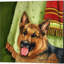 Chihuahua, berger allemand, Golden Retriever et Jack Russell Terrier par Brenda Tustian, ensemble de 4 toiles d'art l 14 x H 14
