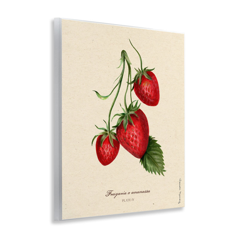 Portrait de fraise, plaque murale, conception par Danielle Murray