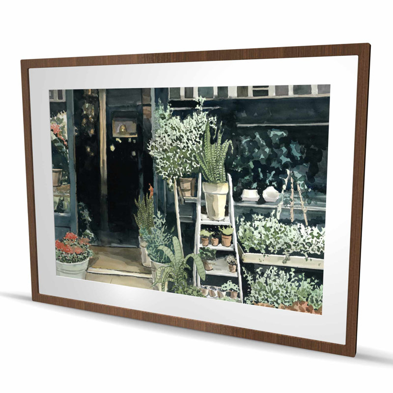 Plantes Magasiner | Cactus Office, H 36 po x l 48 po