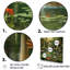 Bamboo and Koi Pond Showcase I - Art mural en bambou-1395840711-1395840697