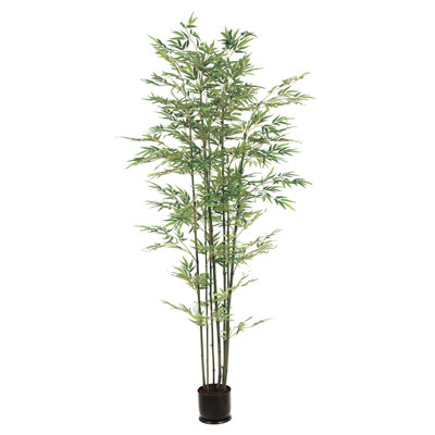 7'BAMBOO TREE X7 W/1980L