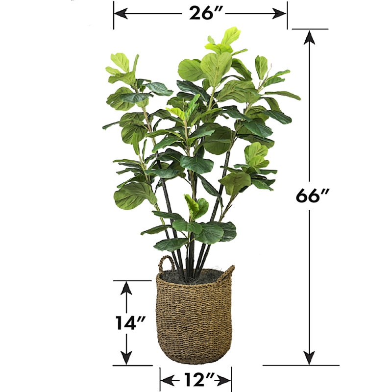 66'' Faux Fiddle Leaf Fig Tree in Wicker/Rattan Basket