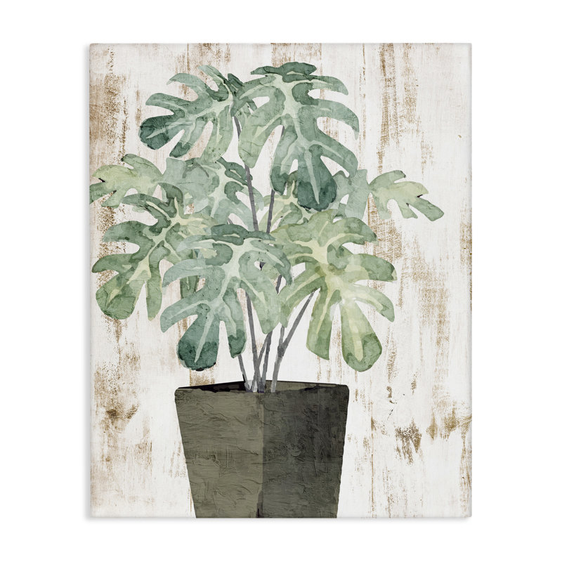 «Flower Pot Greenery», art mural sur toile par Kim Allen, H 20 po x l 16 po