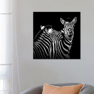 Two Zebras In Black And White II by Lukas Holas - Wrapped Canvas Print