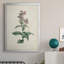 Toile encadrée de qualité supérieure Traditional Botanical II - prête à être accrochée-1499685928-1499685929