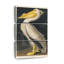 Ensemble de 3 pièces sur toile American American Pelican-464885896