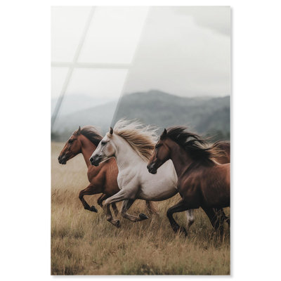 Horse of Thunder II Acrylic Print Travel Art Prints by Notoriart, Ready to Hang, 24 x 36