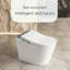 Toilette bidet allongée sans réservoir, chasse d'eau automatique, siège chauffant, lavage à l'eau chaude instantanée, sécheuse