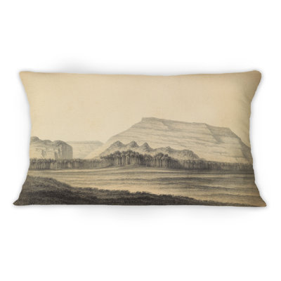 Nature Of South America Vintage II - Traditional Printed Throw Pillow 1