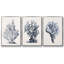 Blue Coral Antique I, ensemble de 3 toiles encadrées-289001393-289001390