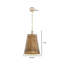 Luminaire suspendu 14 po / 3L Genrose