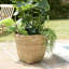 Akil Pot Planter