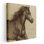 «Majestic Horse I», reproduction d'art sur toile