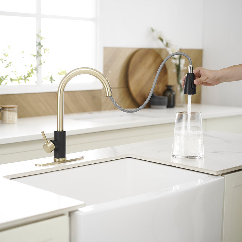 Single-Handle Pull-Out Sprayer Kitchen Faucet With Supply Lines In Matte Black, Matte Black/Brushed Gold
