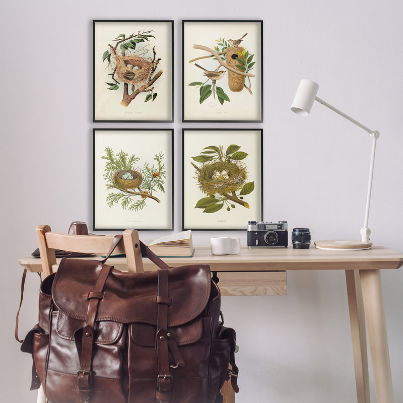  «Bird Nest Forest Study», ensemble de 4 giclées par Tina Higgins Designs, Inc., H 20 po x l 16 po