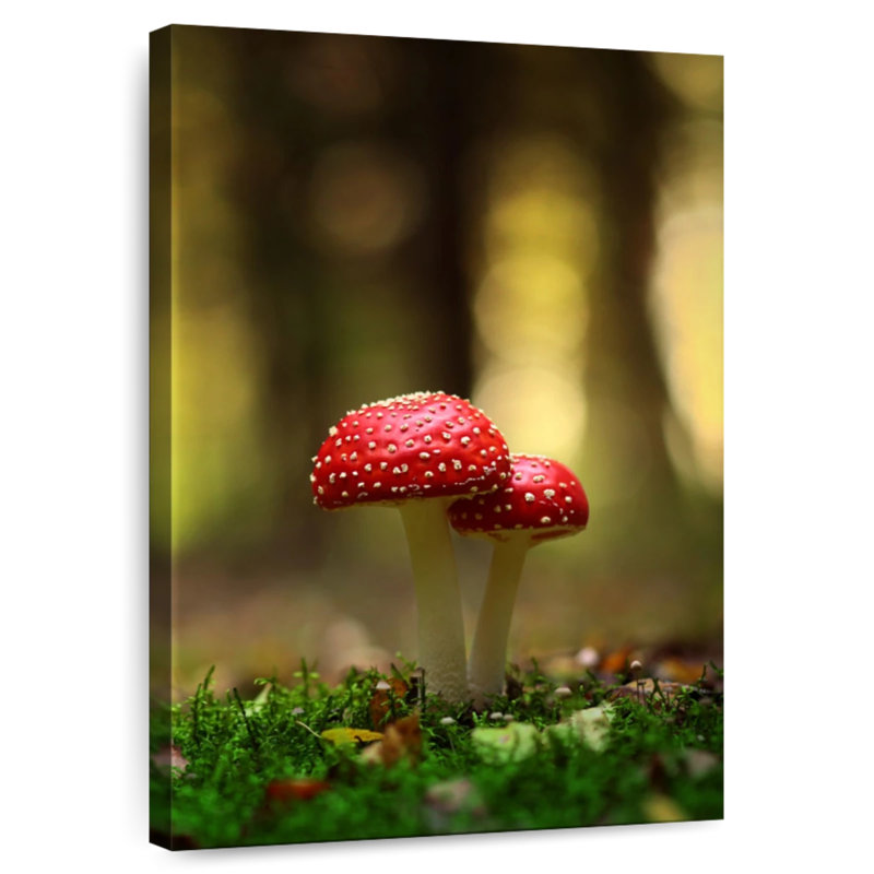 Champignon rouge et blanc, H 39 po x l 26 po