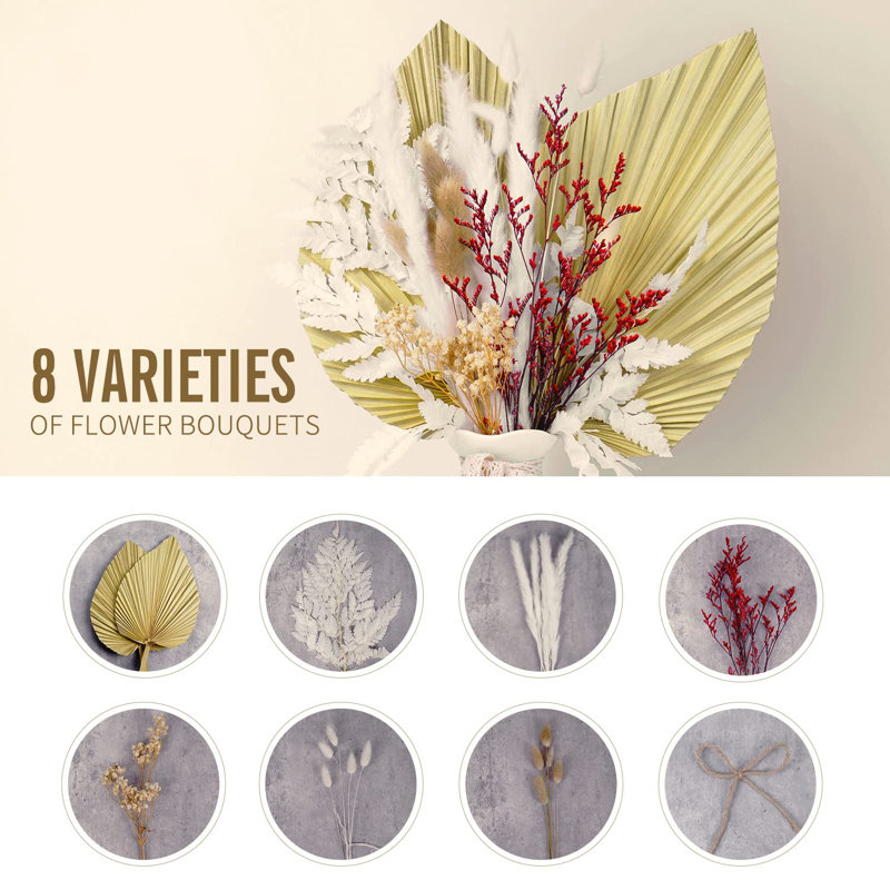 17'' Pampas Grass Plant